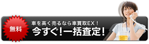 利用規約に同意して、今すぐ！一括査定！（無料）