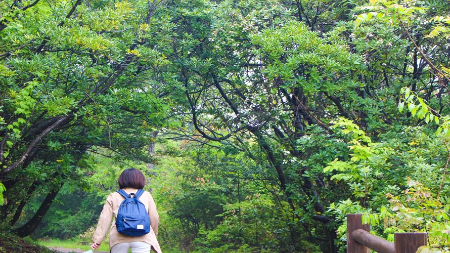 知って得する!高尾山の駐車場選びは出発前から始まっている…？